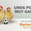 Bachoco