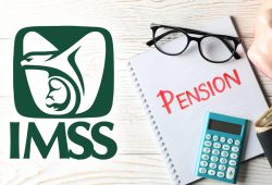 certificado supervivencia imss 2 2025