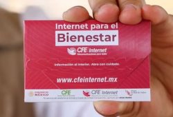 CFE Internet. Foto: CFE